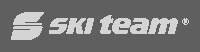 Logo Skiteam